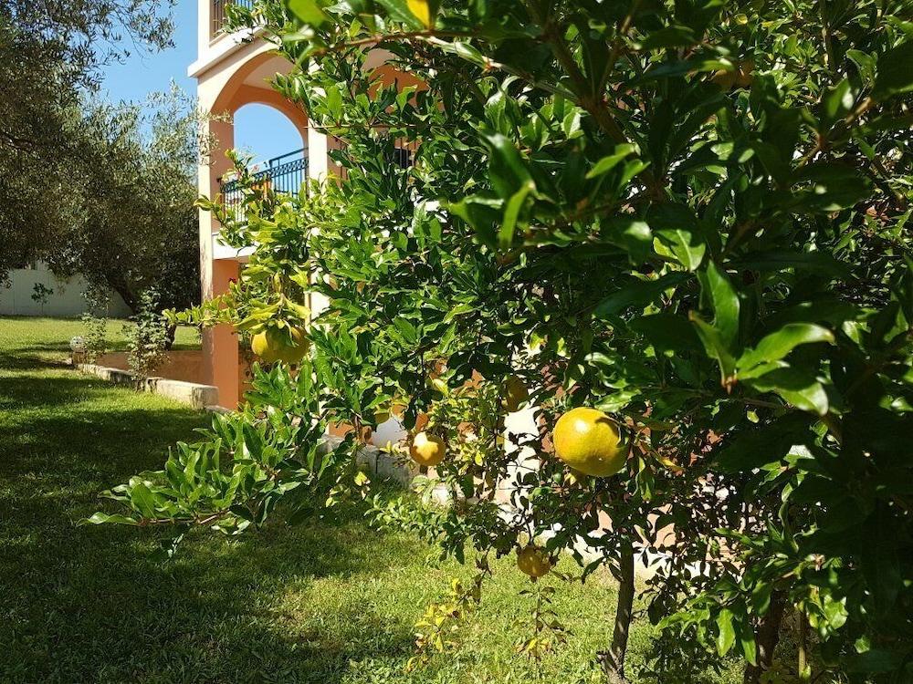 Aloni Hotel Pefkochori Exterior foto